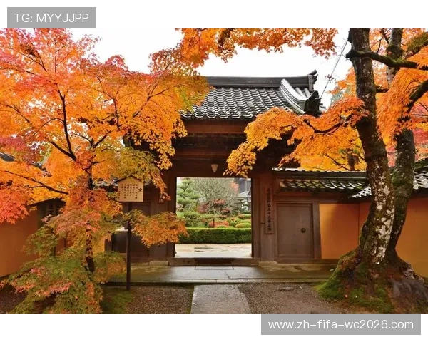 2026年京都最佳赏枫景点推荐 探索秋季红叶之美